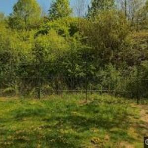 obrazek: avatar ŠKOLNÍ JÍDELNA Masarova