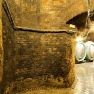 obrazek: avatar BZENECKÉ RODINNÉ VINAŘSTVÍ s.r.o.