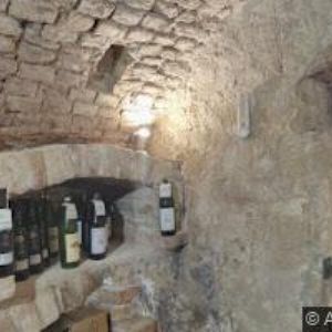 obrazek: avatar OBECNÍ VINOTÉKA PAVLOV