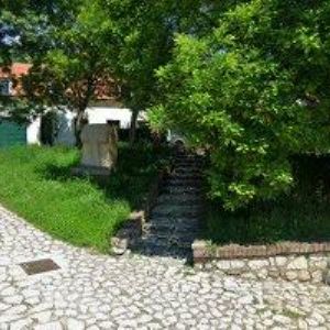 obrazek: avatar DWINE