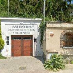 obrazek: avatar SKLÍPEK AURORA