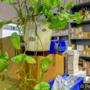 obrazek: avatar PIKSLA