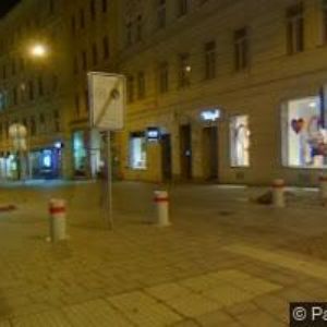 obrazek: avatar WILD THING KARAOKE