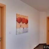 KOLÁŘ RENÉ-VINNÝ SKLEP