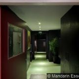 MANDARIN CLUB ESSENCE