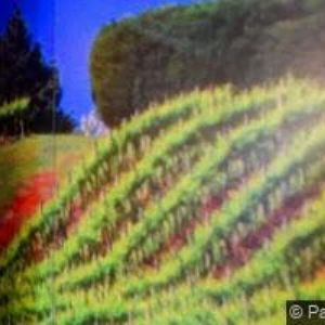 obrazek: avatar CLUB CAFE s.r.o.