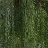 RESTAURACE U ŠVEHLŮ