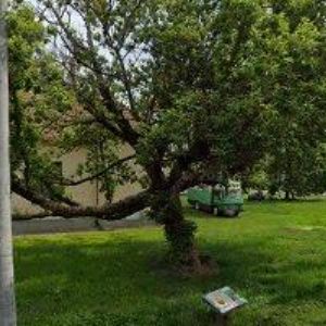 obrazek: avatar RESTAURACE U ŠTRBŮ