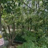 HORÁK JAN-INTERNATIONAL TRANSPORT