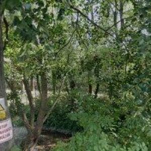 obrazek: avatar HORÁK JAN-INTERNATIONAL TRANSPORT