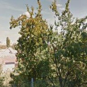 obrazek: avatar SKÁLA STANISLAV