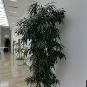 obrazek: avatar EXPOSPED, spol. s r.o.