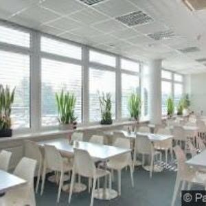 obrazek: avatar BIBUS s.r.o.