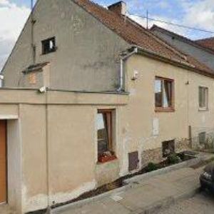 obrazek: avatar SAFE TREES, s.r.o.