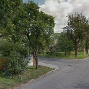 obrazek: avatar ZAYFERUS, o.p.s.