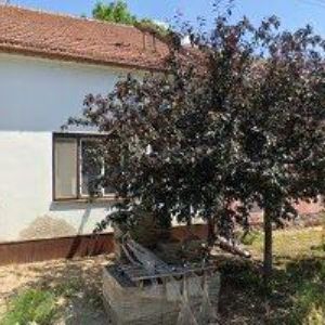 obrazek: avatar JENPLAST