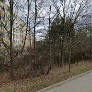 obrazek: avatar BG DOPRAVNÍ A POZEMNÍ STAVBY, s.r.o.