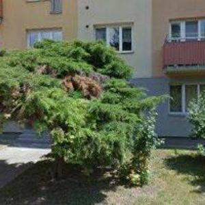 obrazek: avatar PLASTIC BOX CZ, s.r.o.