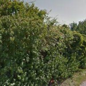 obrazek: avatar SMOLÍNSKÝ LIBOR