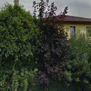 obrazek: avatar KAMENICTVÍ, KRBY-GRIC SENETÁŘOV