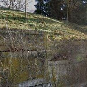 obrazek: avatar DIVIŠ IVO