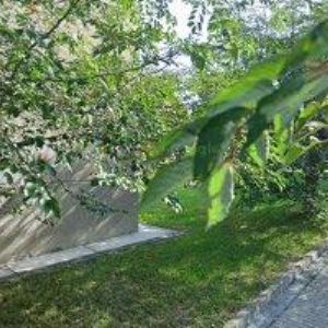 obrazek: avatar ORZISPEED s.r.o.