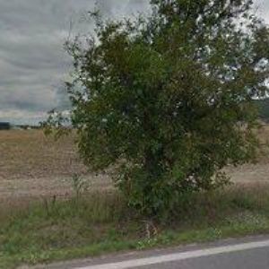 obrazek: avatar LP-STEEL s.r.o.