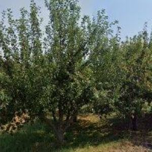 obrazek: avatar NOSPED, s.r.o.