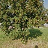 BTA DIAMANTOVÁ TECHNIKA BRNO, s.r.o.