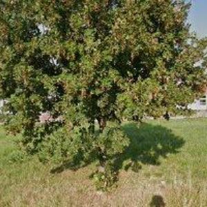 obrazek: avatar BTA DIAMANTOVÁ TECHNIKA BRNO, s.r.o.