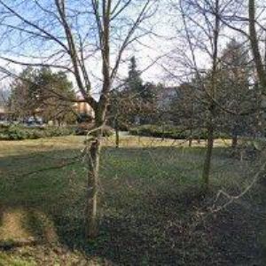 obrazek: avatar RENOVACE KAMENE