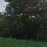 KAMENOSOCHAŘSTVÍ ZELINKA