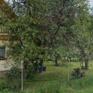 obrazek: avatar AUTOJEŘÁBY ŠIBOR, s.r.o.