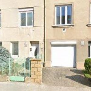 obrazek: avatar GEYER SPEDICE