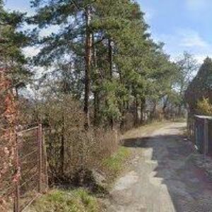 obrazek: avatar BÁRTA MICHAL