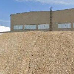 obrazek: avatar WINE LIFE a.s.