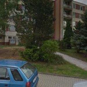 obrazek: avatar SLEZÁK DAVID