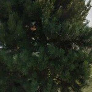 obrazek: avatar HOLOUBEK JAROMÍR