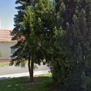 obrazek: avatar NĚMEČEK MILAN