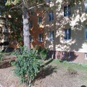 obrazek: avatar DUCHAN JOSEF