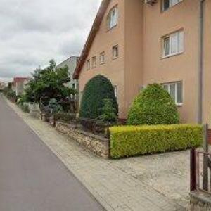 obrazek: avatar PLAČEK LEOŠ