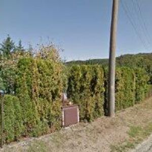 obrazek: avatar AUTODOPRAVA ŠAMALÍK JAN