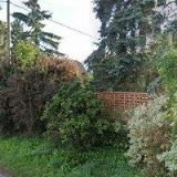 BOUČEK LADISLAV Ing.-ÚČETNICTVÍ