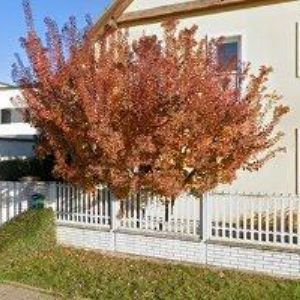 obrazek: avatar ADA, s.r.o.