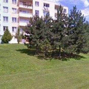 obrazek: avatar A.U.P.-AUDIT, s.r.o.