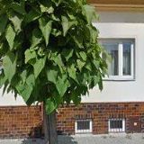 VYRŮBALÍKOVÁ IVANA Ing.