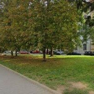 obrazek: avatar KRESTÝN JAN Ing.