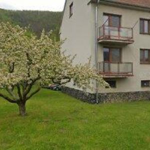 obrazek: avatar TRČKA PAVEL Ing.