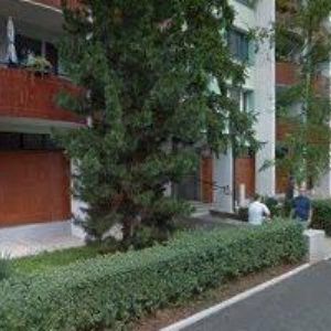 obrazek: avatar SPOLEČNOST ZNALCŮ A PORADCŮ V LESNICTVÍ A MYSLIVOSTI