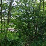 KRAJÍČEK MIROSLAV Ing.